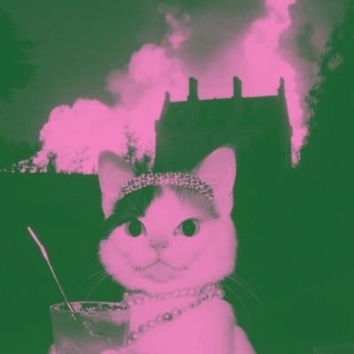 dlanggr's profile picture. 