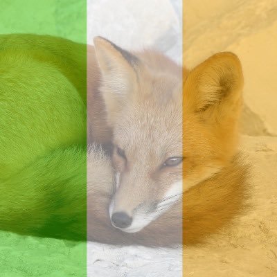 Sé/é/he/him, 14 years old, mouth like a cat’s arse, single. #AllRapistsGottaDie #RecallTheDáil #FreeSchlep #ConnollyForPresident