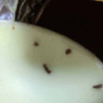 ming_xa316's profile picture. 気軽に呟いたり絵を載せたりする rom× ﾐｭｰﾄ･ﾘﾑ･ﾌﾞﾛご自由にお願いします