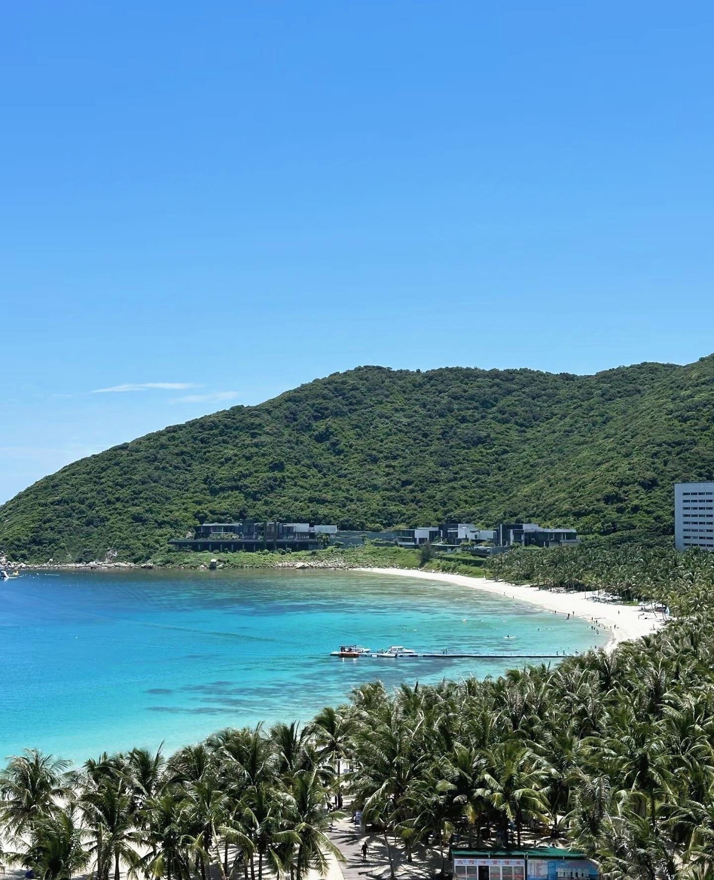 Jay67881746's profile picture. 