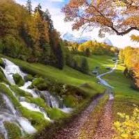 mohammad (@mohammad1050906) 's Twitter Profile