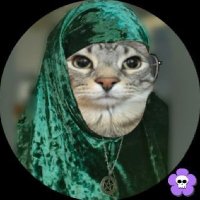 NeelsAlt (@neeelsalt) 's Twitter Profile