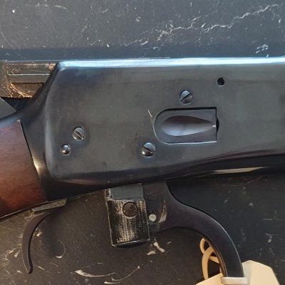 Lizgahbrandon's profile picture. Cowboyskytt, handladdare, brother in Christ, kabeltattare, och så jävla trött på nutiden.