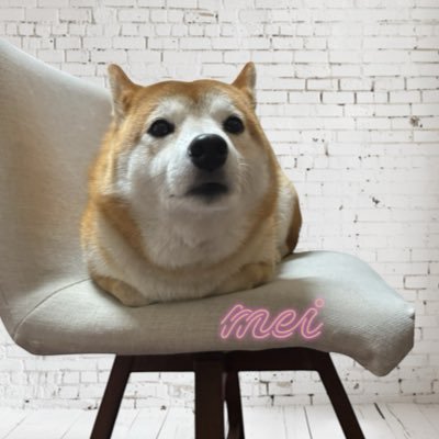 椅子に座りたいって言うから乗せてあげたのにずっとしょんぼりしてる