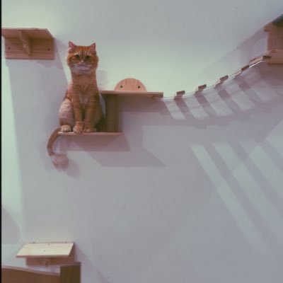 Hawazinao's profile picture. #هَوازن_تقول | Live life to the fullest, and focus on the positive