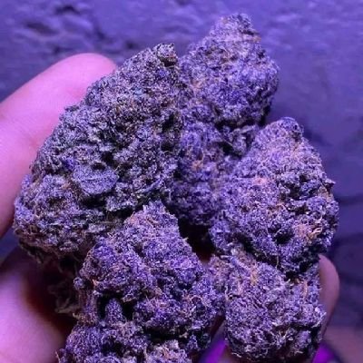 you'll come fuck with the best in the game 24/7 let's run 🏃♂️ it up
tapin on telegram to shop
👇👇👇👇👇
https://t.co/kPGgU6t68Z