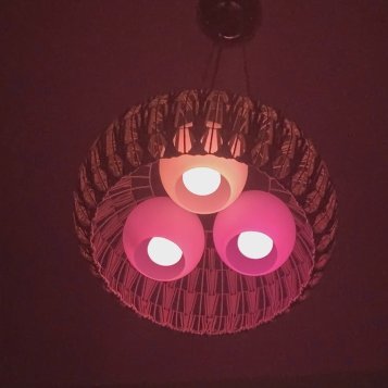 OneHuefan147187's profile picture. Please ask me for Hue products!