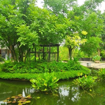 Anjinggalak696's profile picture. 🌹