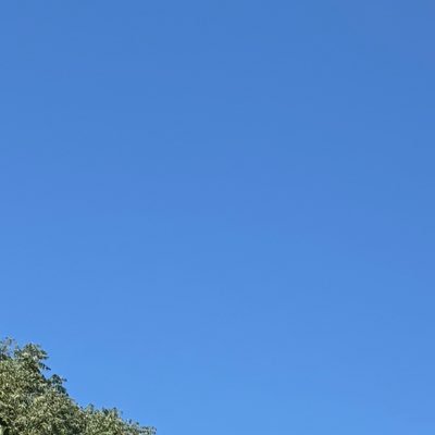 zcannn13's profile picture. aaa