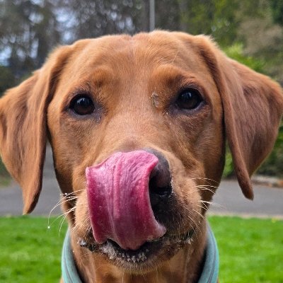 C_leslie1982's profile picture. 