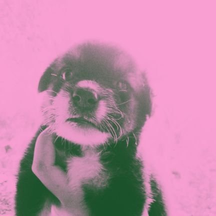 giiiavocado's profile picture. 💫