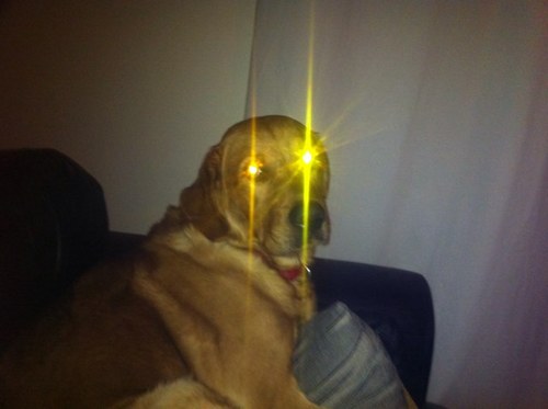 JBajgar's profile picture. 