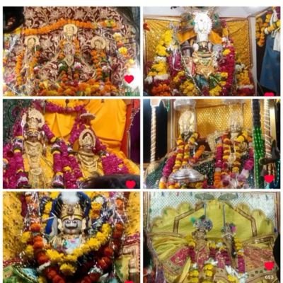 ‼️सिंधिया समर्थक‼️
🚩त्वादीयाय कार्याय बद्धा कटीयम🚩