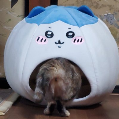 5963194aaa's profile picture. 