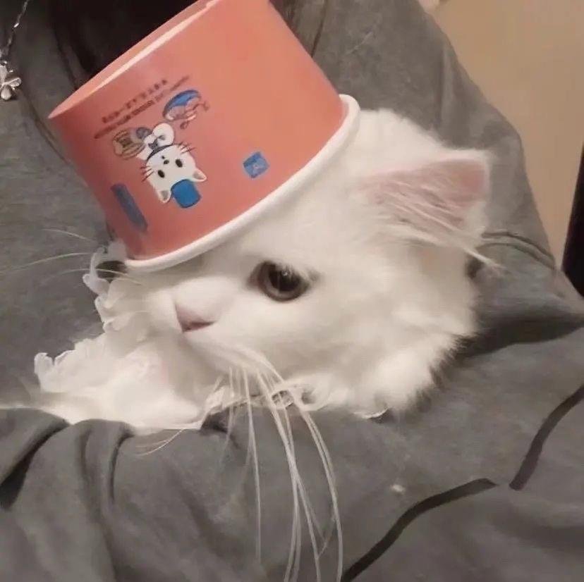 SuAnsley's profile picture. 