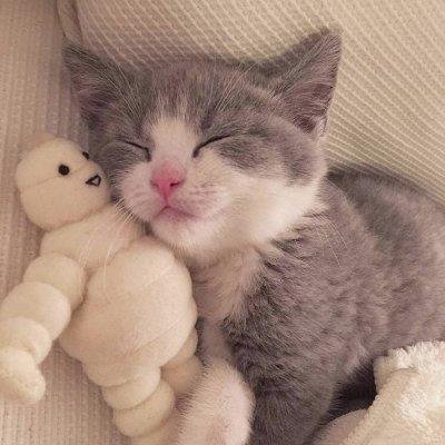 NickLee24917145's profile picture.