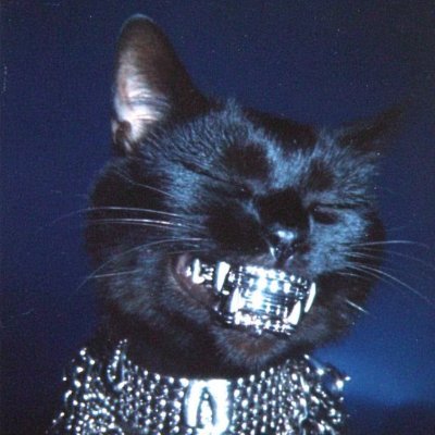 0xZEVS's profile picture. 