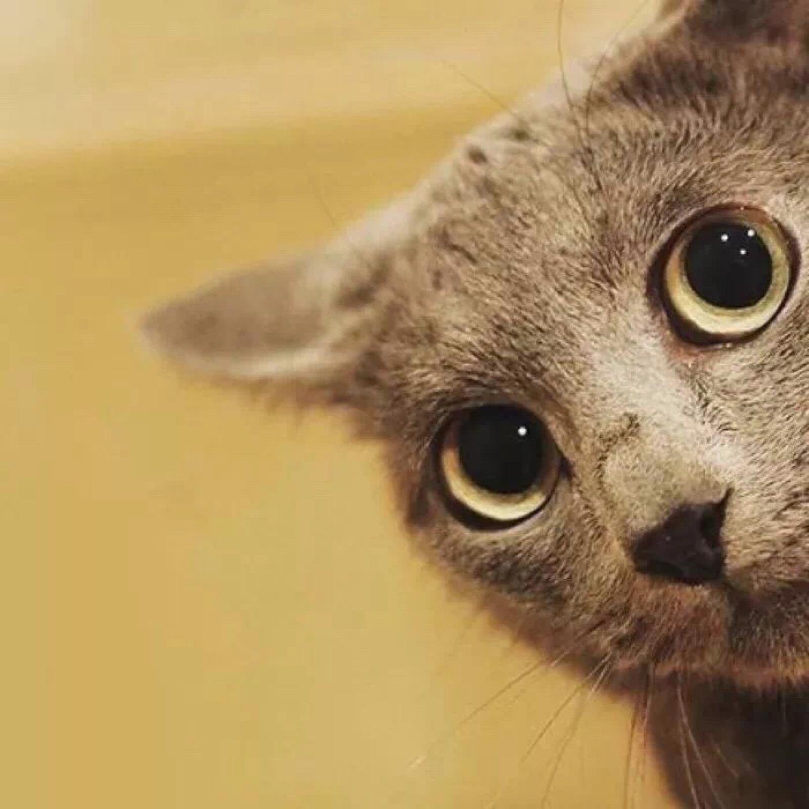 YuJun30891285's profile picture. 