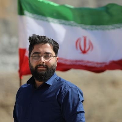 مجری صحنه و تلویزیون
، شاعر
،خبرنگار
،فعال سابق دانشجویی
، مشاور شغلی
،مشاور خانواده
،روانشناس