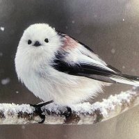 shiika (@jzaj8v6) 's Twitter Profile