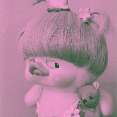 bungalinho000's profile picture. 