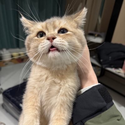 Xor0v0's profile picture. Security Researcher @BlocksecTeam｜Cryptography security enthusiast