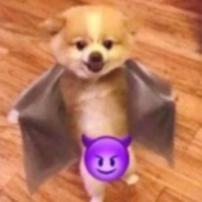 bored_idiot44's profile picture. forgot password again lmao