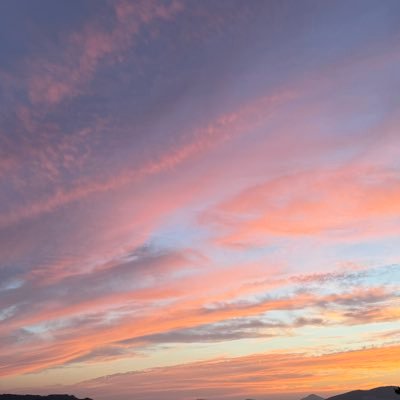 iC8jSXj5QZZ4EjI's profile picture. 