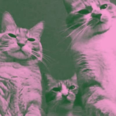 All about meng tweet 😻
DM for FB😸 no bkp😾 🙀 https://t.co/Pvyt0WwpwP