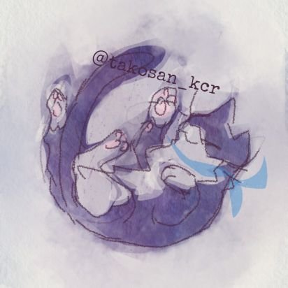 たこのさんのプロフィール画像