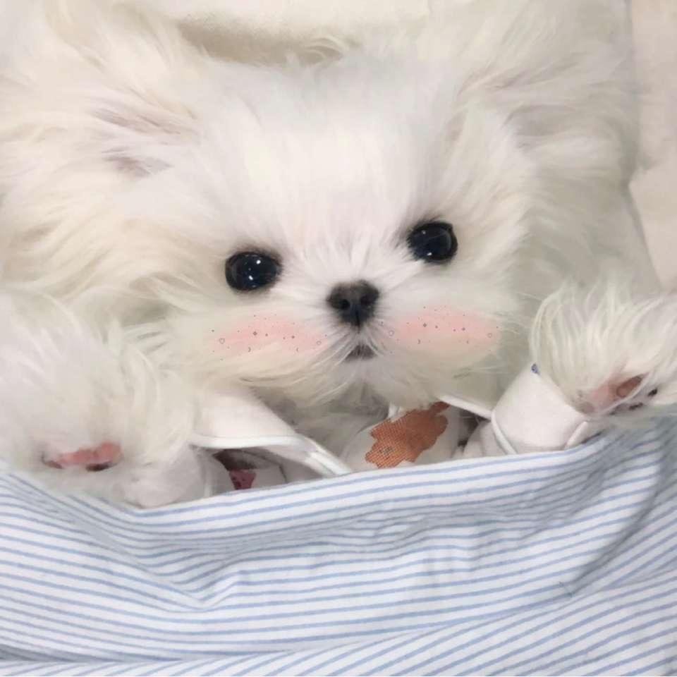 dennyyu71's profile picture. 