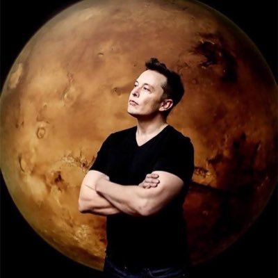 Reeves08musk's profile picture. Son of light ✨✨ ✨