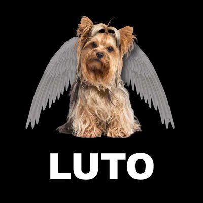 Neste perfil, você não ouvirá apenas o que deseja, mas sim a verdade. É hora de acordar, ou você pode acabar sendo devorado pelos lobos.
