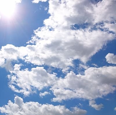 Norishiro_526's profile picture. 自分なりの歩幅で一歩ずつ。 明透／琶舞／CIEL／VALIS／HACHI／羊羊／えん/neG