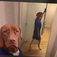 Emmanuel0 (@0xemmaweb3) 's Twitter Profile