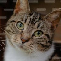 Ichiro (@ichiro3214) 's Twitter Profile