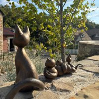 まな (@rcuf73961) 's Twitter Profile Photo