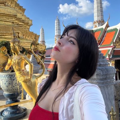 Aiminoah's profile picture. cat lady with an adventurous soul | exploring web3