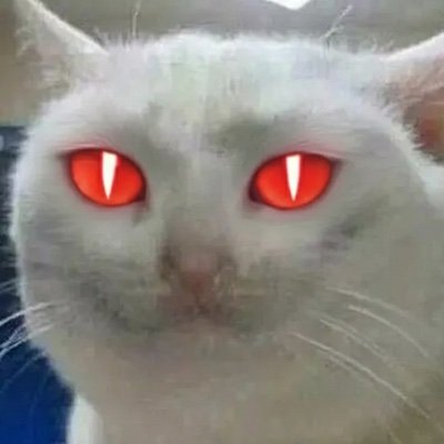jawyonka's profile picture. let the devil in