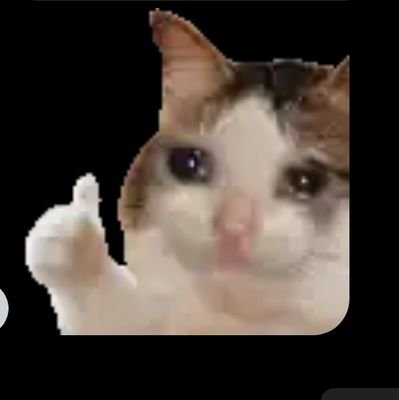 umuutcck_0's profile picture. 