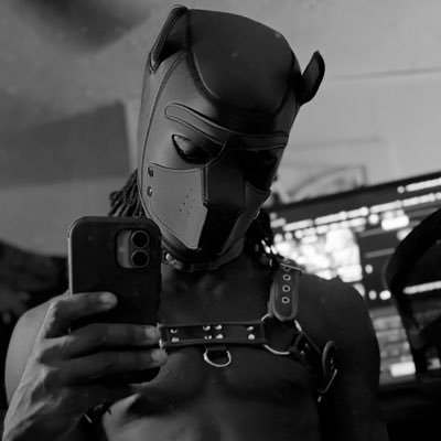 NO MINORS | Not/Cute | 18 Y.O. Wusky/Pup | Vers Bottom | likely horny... | Single & Collared! | DMs Open🌶️