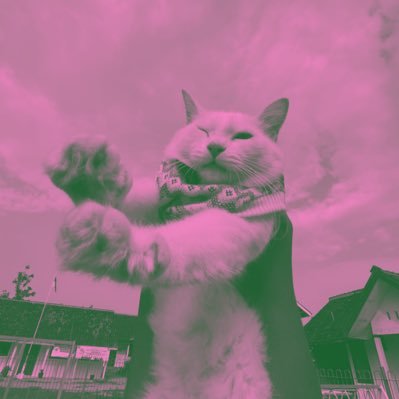 meeeeeeeettt's profile picture. Need Money, Sleep and Happiness