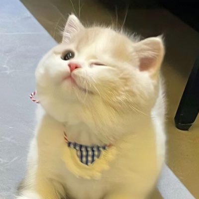 ฉ่ำฉาสาขา 3 - แอคช่วยฟอลคับ ฟอลกลับสาขา 2 ( @_sassyjms ) ได้เลยน้า🤲🏻