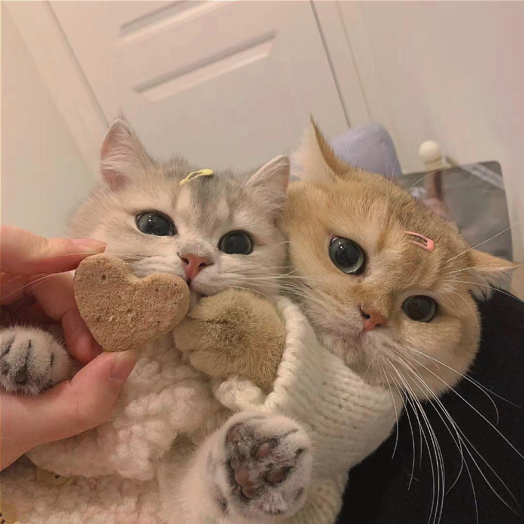 GeorgeWScott2's profile picture. 