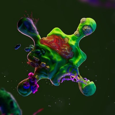 SnNguynKhc52473's profile picture. Support Desci $Bio $Aubrai $Vita. @blockstranding