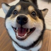 markx. (@szora16) 's Twitter Profile Photo markx. (@szora16) 's Twitter Profile Photo