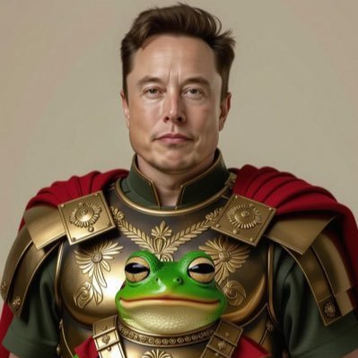 teamelonn's profile picture. Chief Designer of SpaceX🇺🇸