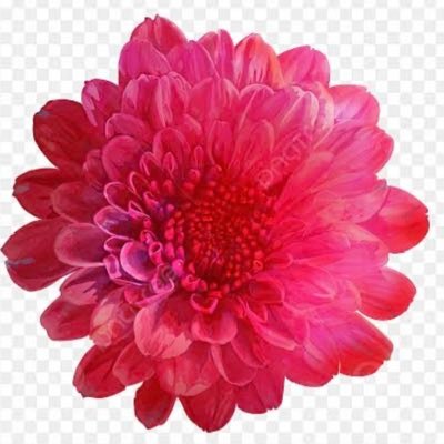 jokes_dark5278's profile picture. お笑いは高円寺、中野、新宿あたりで見てます 太田プロのライブ等行きます