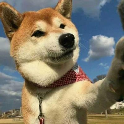 1014Wytchy's profile picture. 