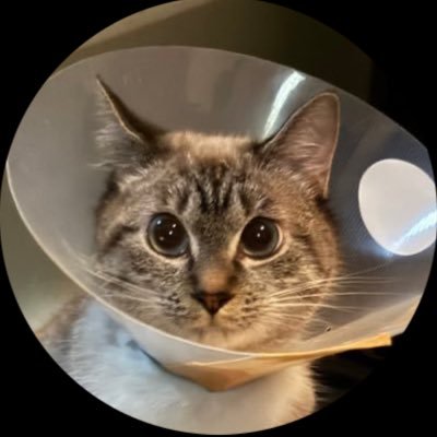 【🇺🇸🇨🇦🇦🇺🇨🇳...】海外出稼ぎ✈️AG🐈 実績に基づいた知識でご案内/入国から帰国まで万全サポート/ ご希望の方法で送金受け渡し🉑/面談可能な安心AG🙆♂️/送金詐欺、悪質AG撲滅🚨本垢→@agkomachi